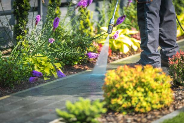 Best Winterizing Services  in Brooklyn, OH