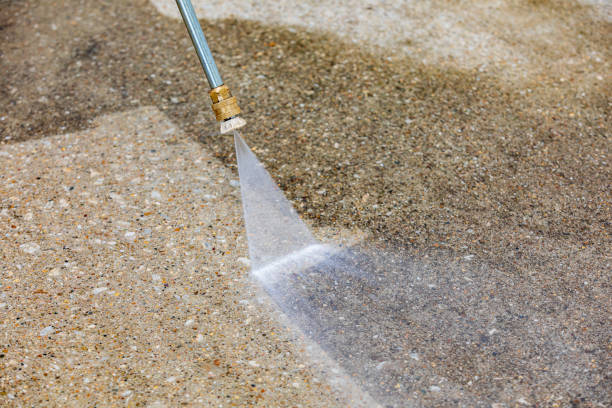 Animal Enclosure Cleaning in Brooklyn, OH